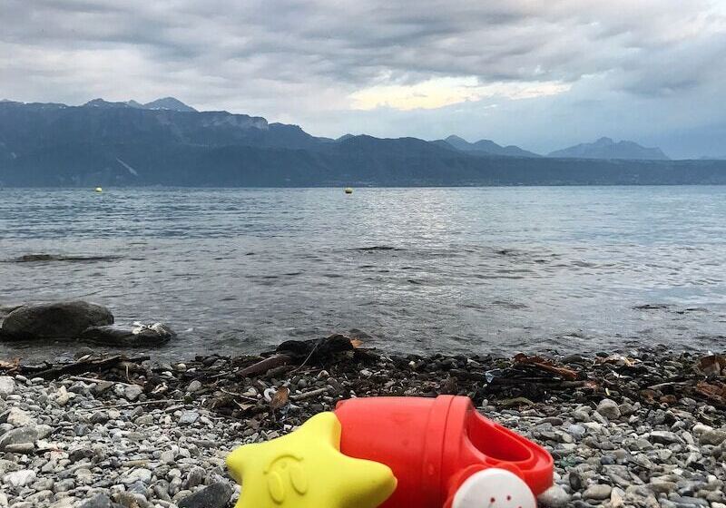 Rivage Hotel Restaurant Lutry