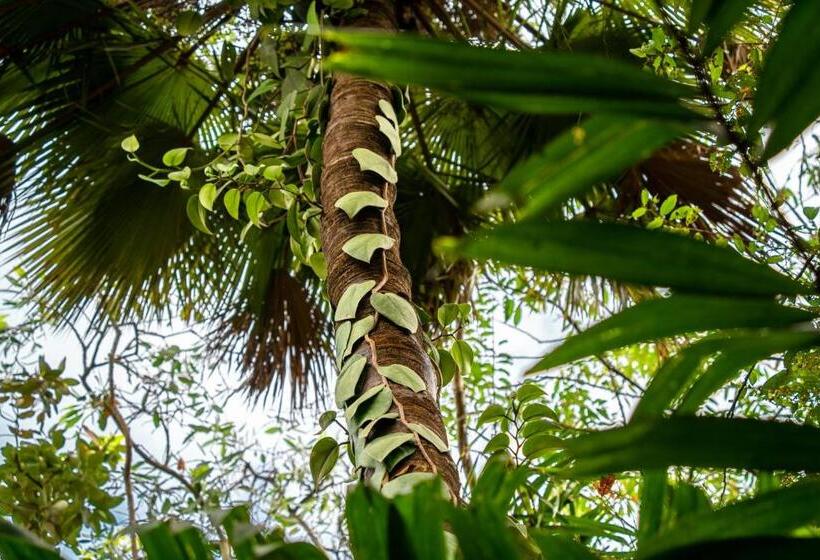 Trinity Links Resort