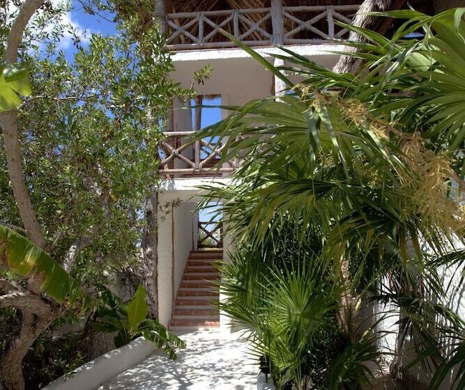 استراحتگاه Holbox By Xaloc