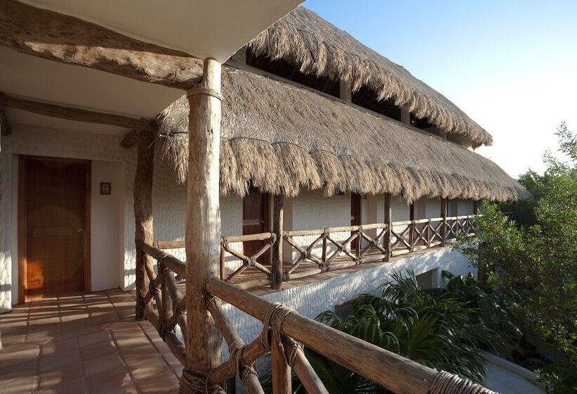 استراحتگاه Holbox By Xaloc