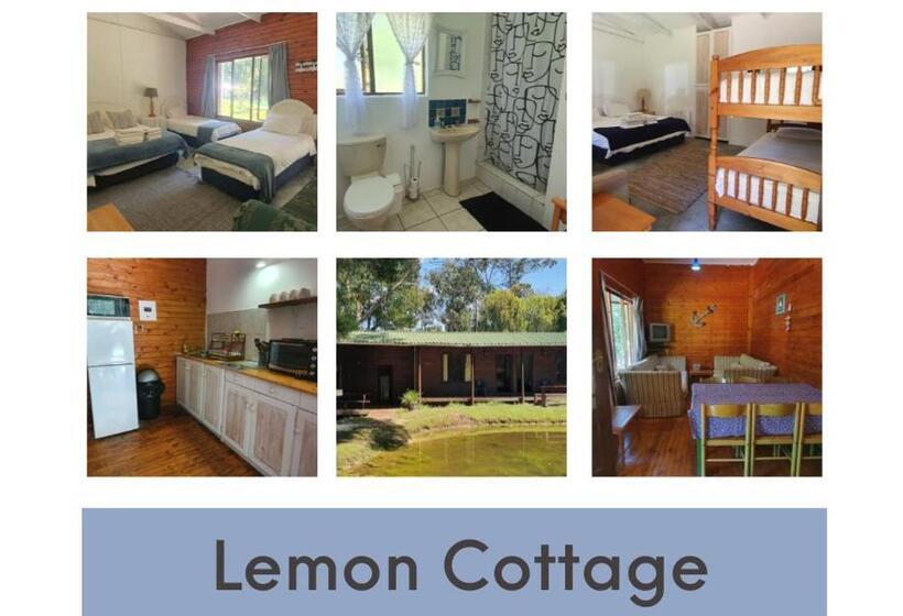 ユースホステル Plett Forest Cabins