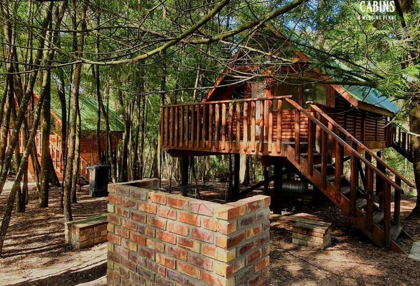 호스텔 Plett Forest Cabins
