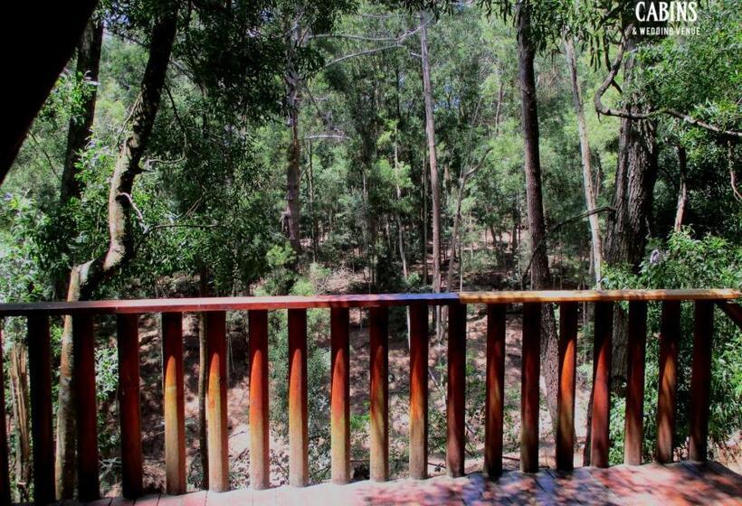 ユースホステル Plett Forest Cabins