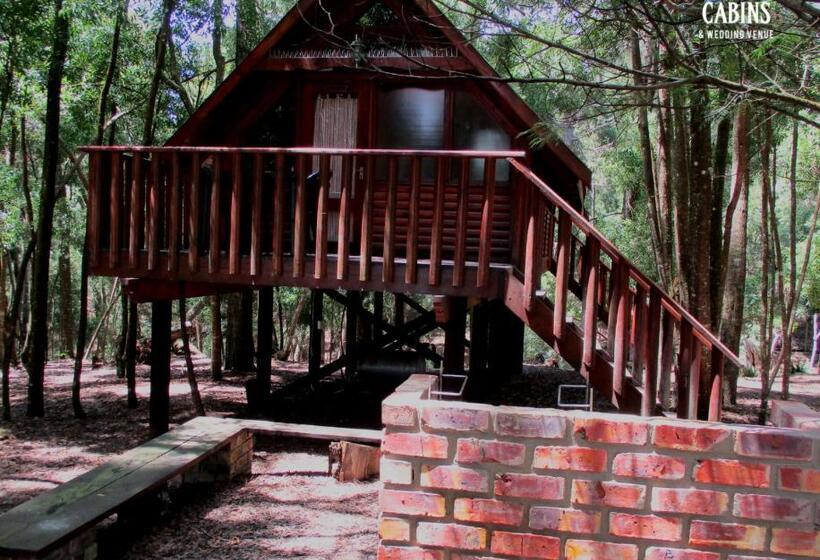 ユースホステル Plett Forest Cabins