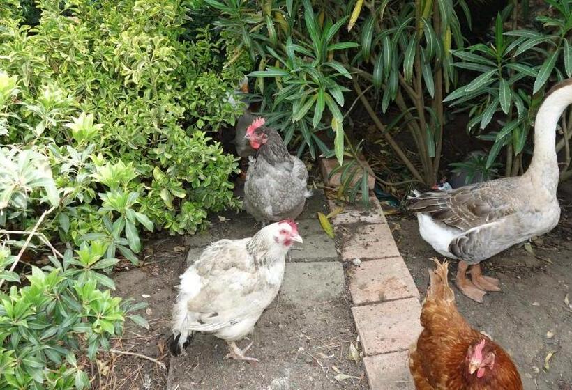 مبيت وإفطار Hostelry Music Repetition