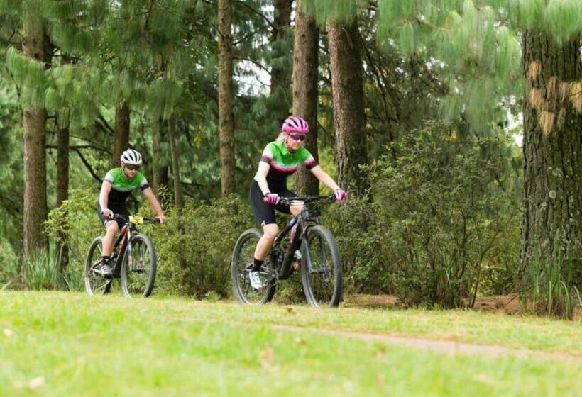 Crestwood Bed & Breakfast