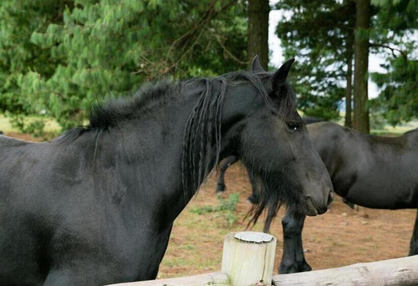 Crestwood Bed & Breakfast