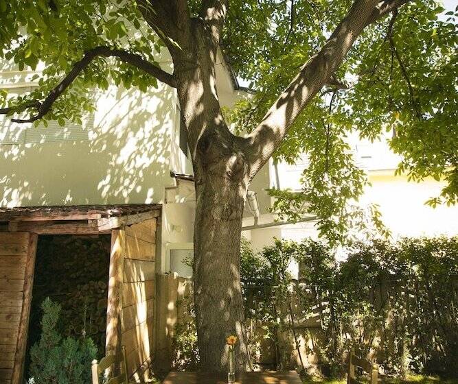 هتل Grand Boutique