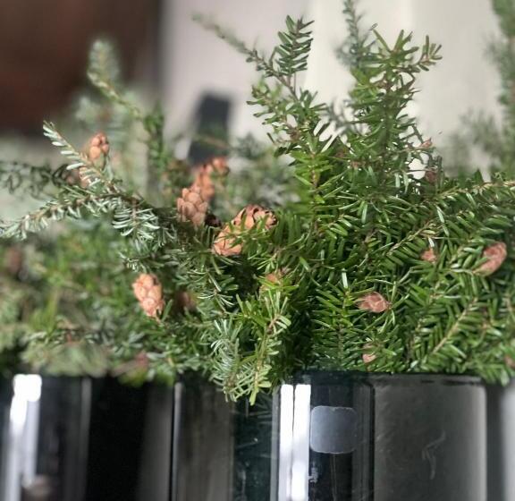 هتل Vertshuset Konow