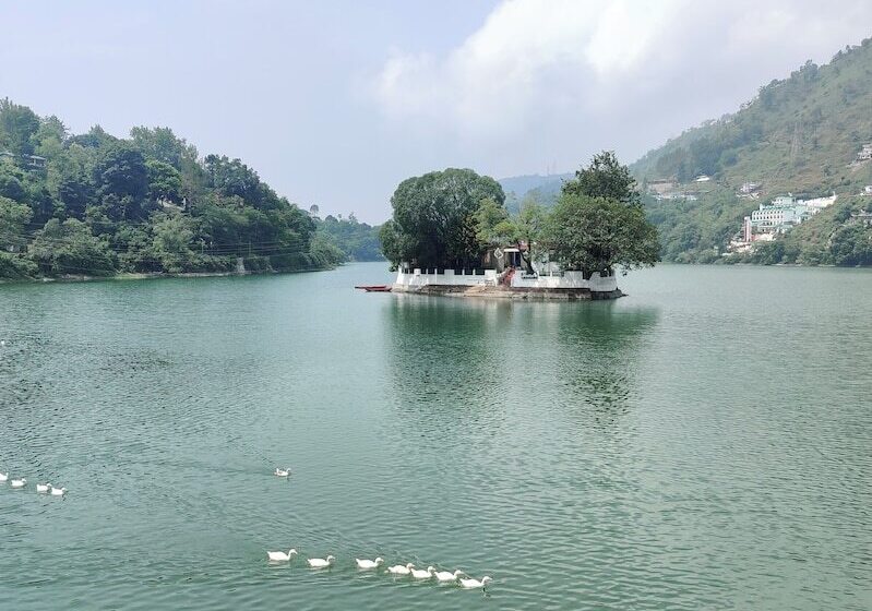 فندق The Rosefinch Sarovar Portico