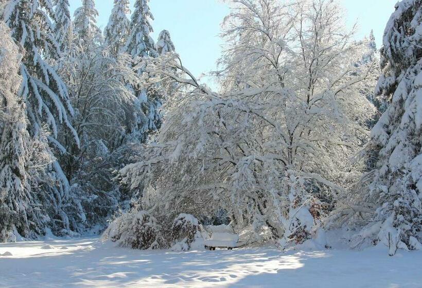 호텔 Waldgasthaus Am Schwarzenbruch