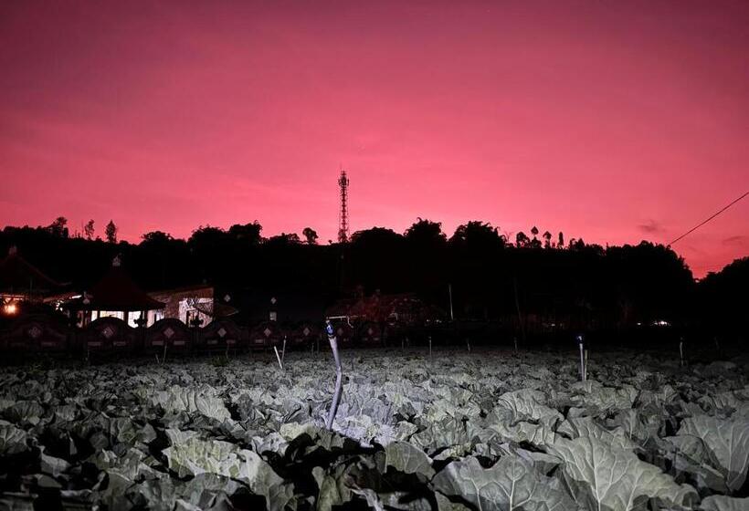 פנסיון Batur Caldera Guest House