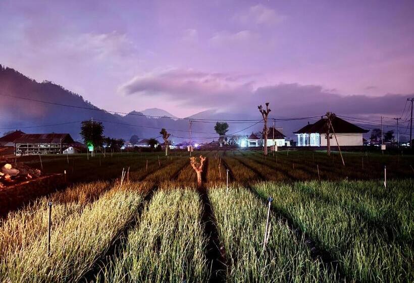 펜션 Batur Caldera Guest House