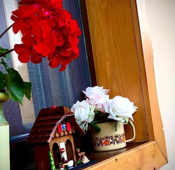 بنسيون Casa Eva Wagner   Biertan