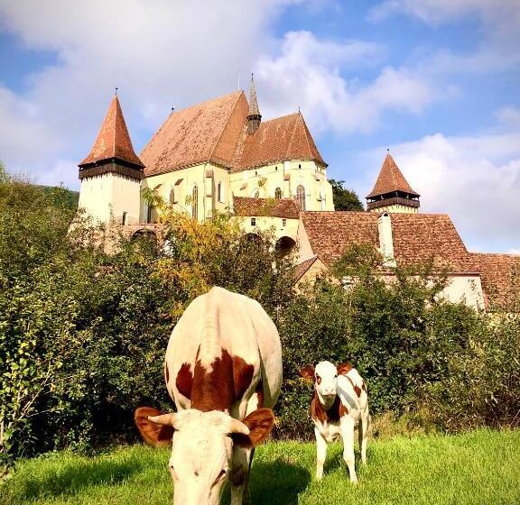 פנסיון Casa Eva Wagner   Biertan