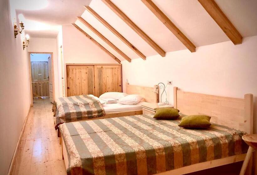 بنسيون Casa Eva Wagner   Biertan