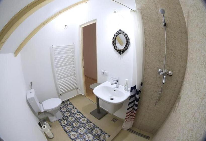 بنسيون Casa Eva Wagner   Biertan