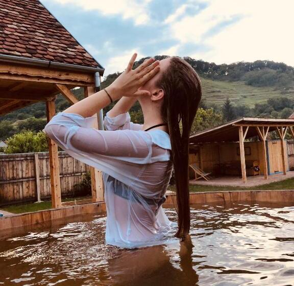 פנסיון Casa Eva Wagner   Biertan