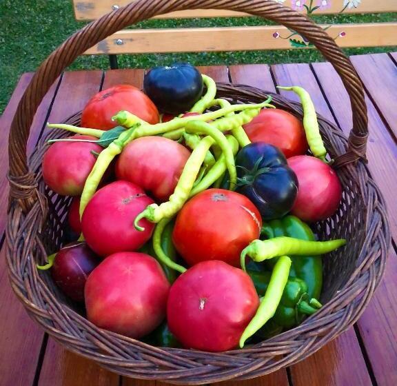 بنسيون Casa Eva Wagner   Biertan