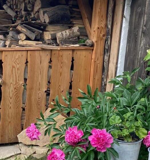 بنسيون Casa Eva Wagner   Biertan