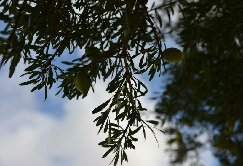 پانسیون Domaine Argania