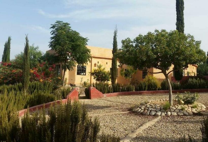 پانسیون Domaine Argania