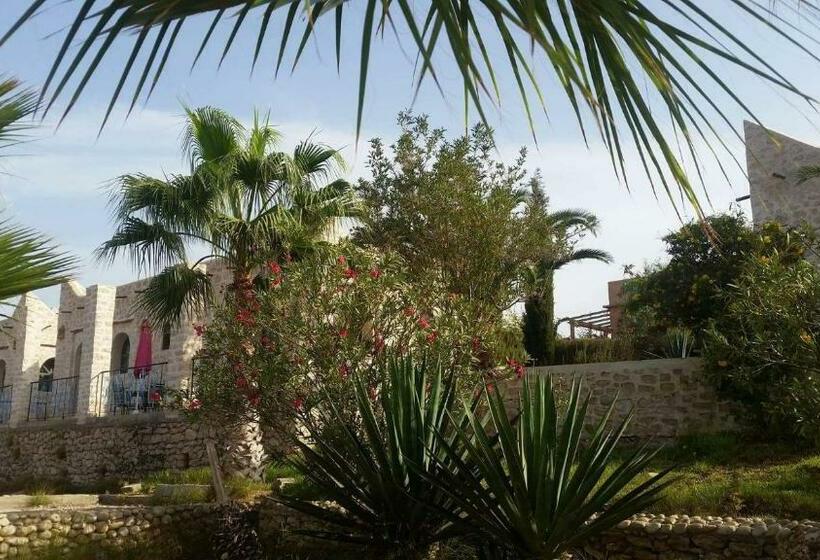 پانسیون Domaine Argania