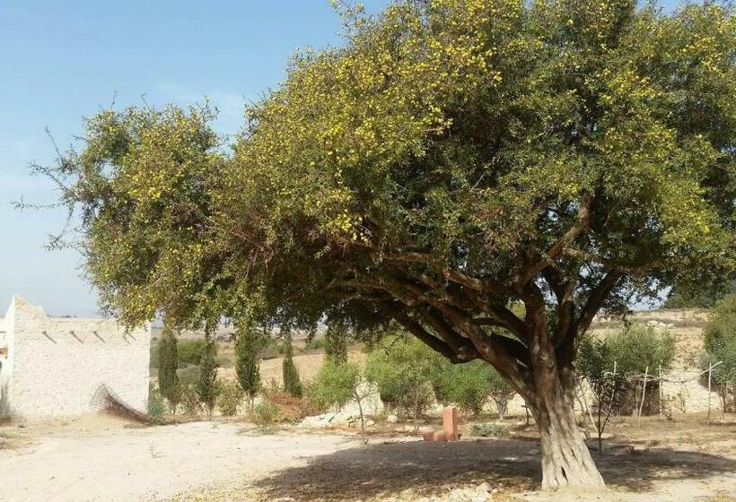 پانسیون Domaine Argania