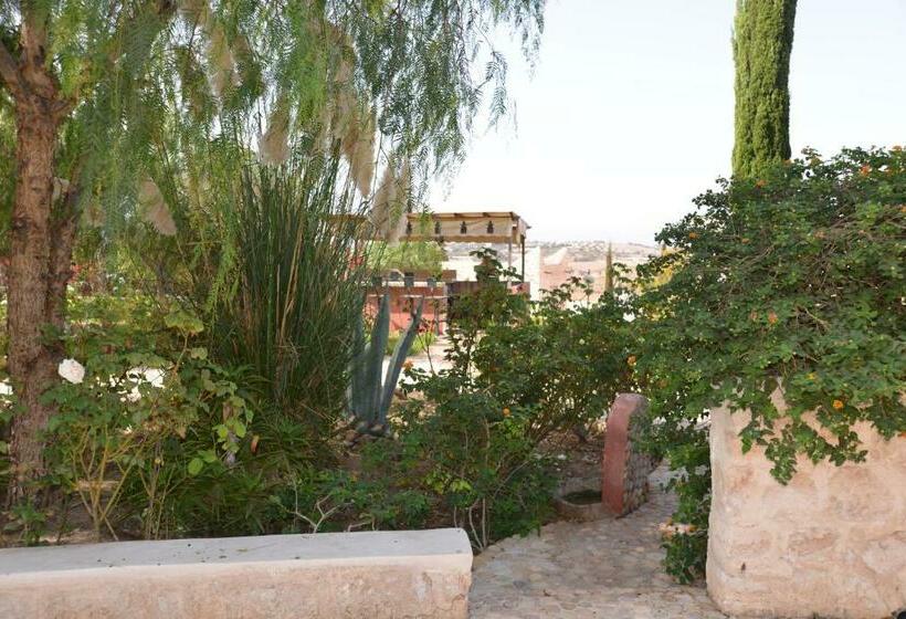 پانسیون Domaine Argania