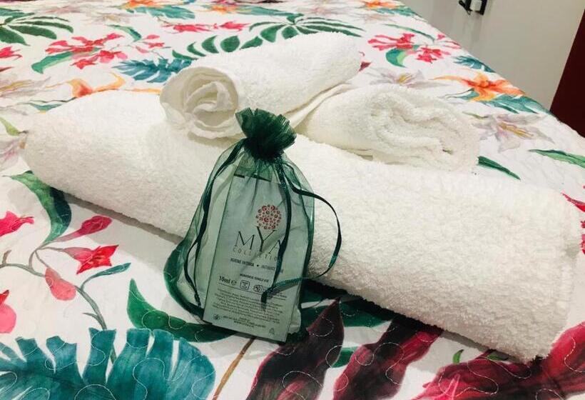 פנסיון Scilla's Dream