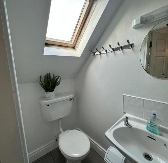 The Grapevine Hostel