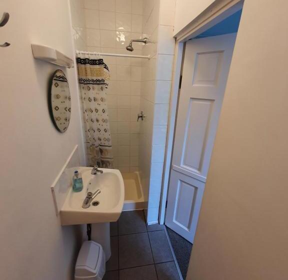 The Grapevine Hostel