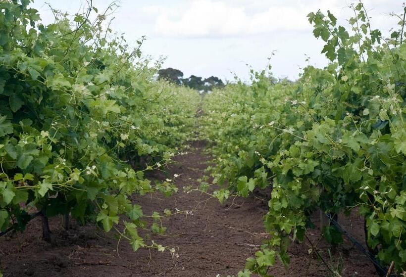 민박 The Farm Willunga