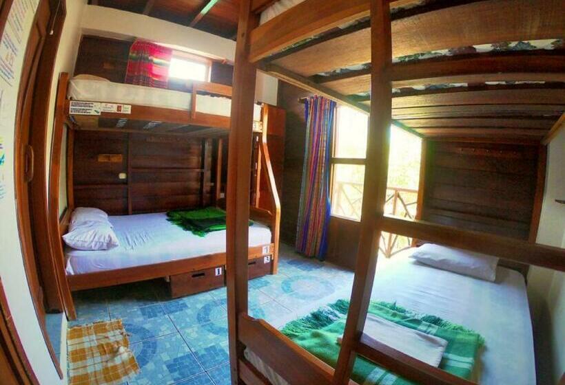 Esperanto Bed & Breakfast Surf Hostel