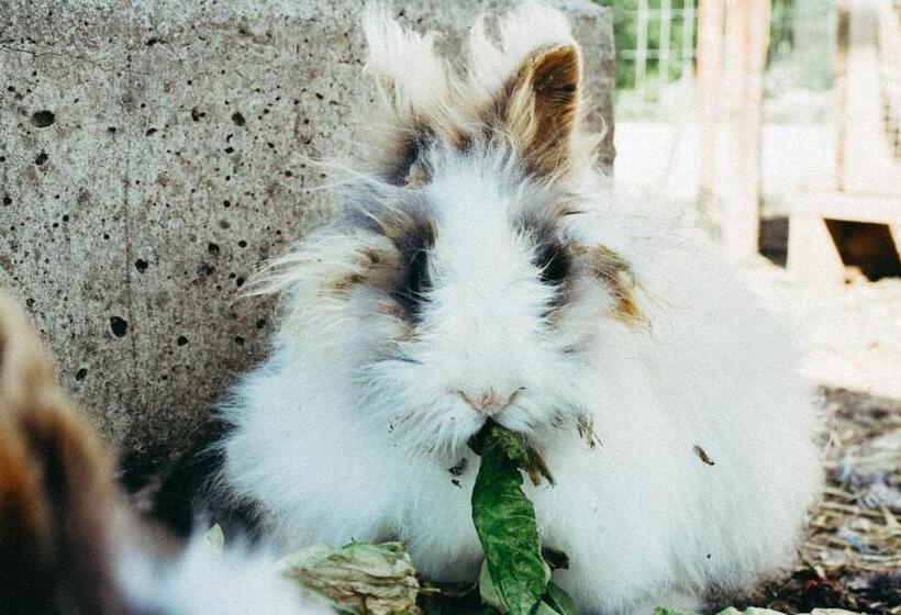 فندق Agriturismo Vallerana