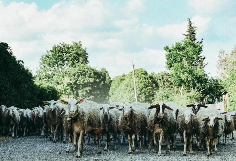 فندق Agriturismo Vallerana