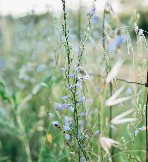 فندق Agriturismo Vallerana