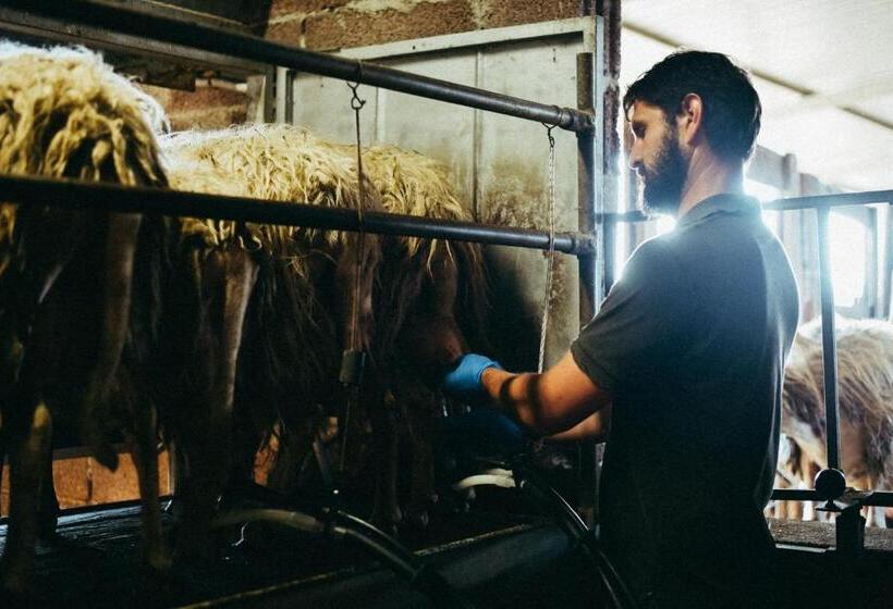 فندق Agriturismo Vallerana