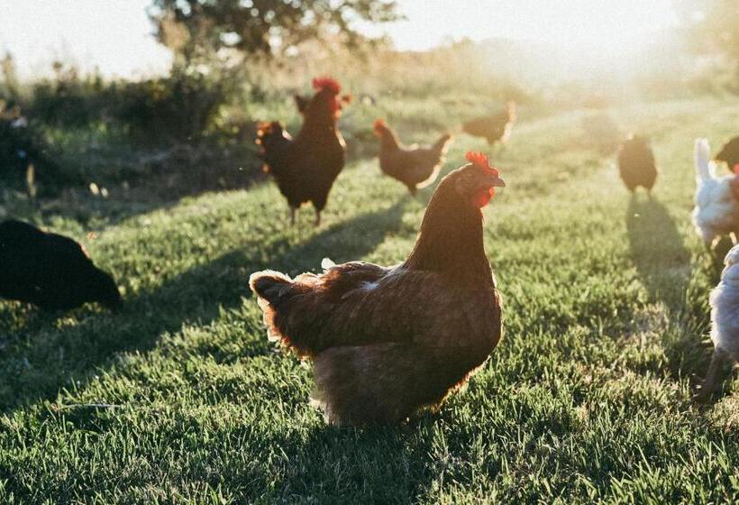 فندق Agriturismo Vallerana