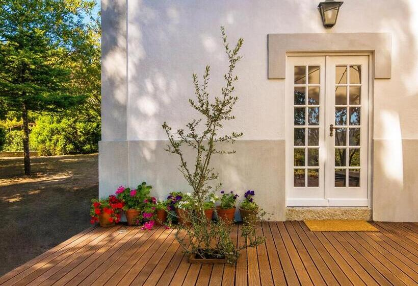 فندق Casas De Massinos