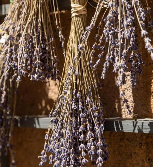 호텔 Domaine Les Sources De Dieulefit