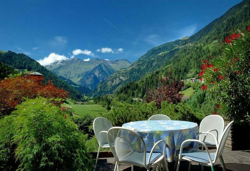 בית מלון כפרי Pension Alpenhof