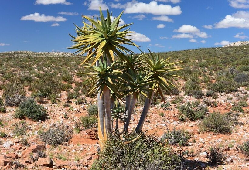 فندق Platbakkies Farm Retreat