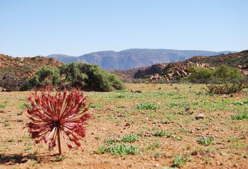 فندق Platbakkies Farm Retreat
