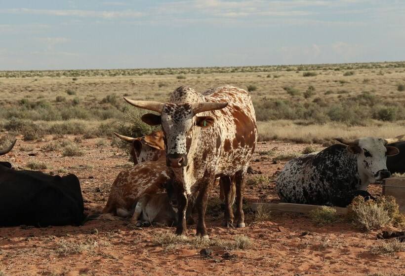 فندق Platbakkies Farm Retreat