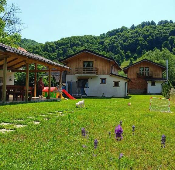 پانسیون Guest House Carpathia