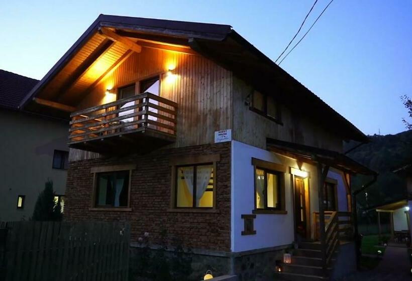 펜션 Guest House Carpathia