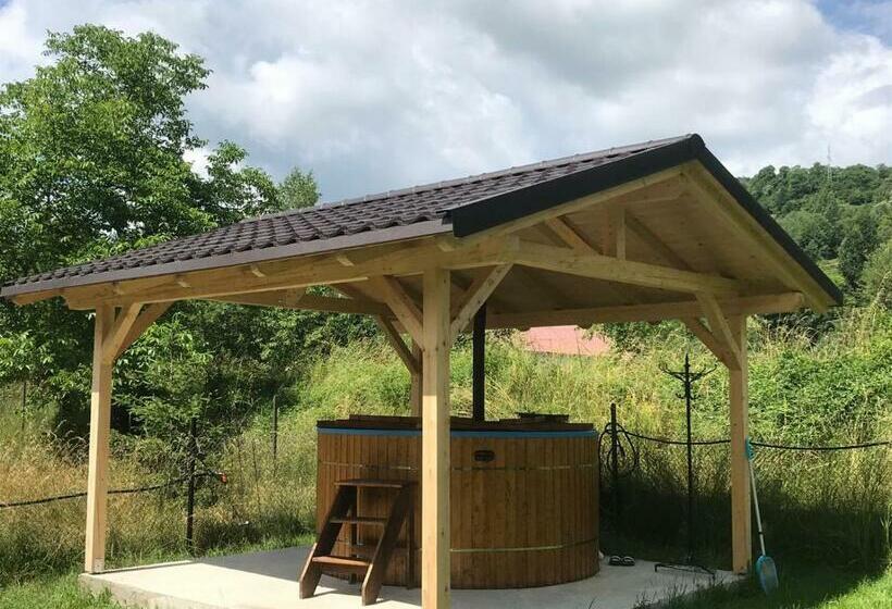 펜션 Guest House Carpathia