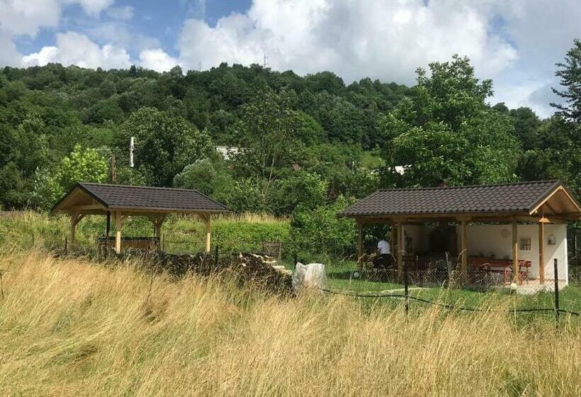 펜션 Guest House Carpathia