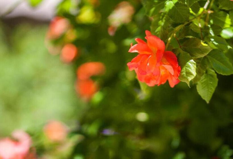 膳宿费 Kruchma Bratyata Guest House